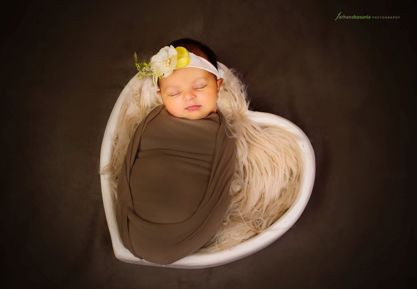 Newborn baby girl sleeping portrait Sydney