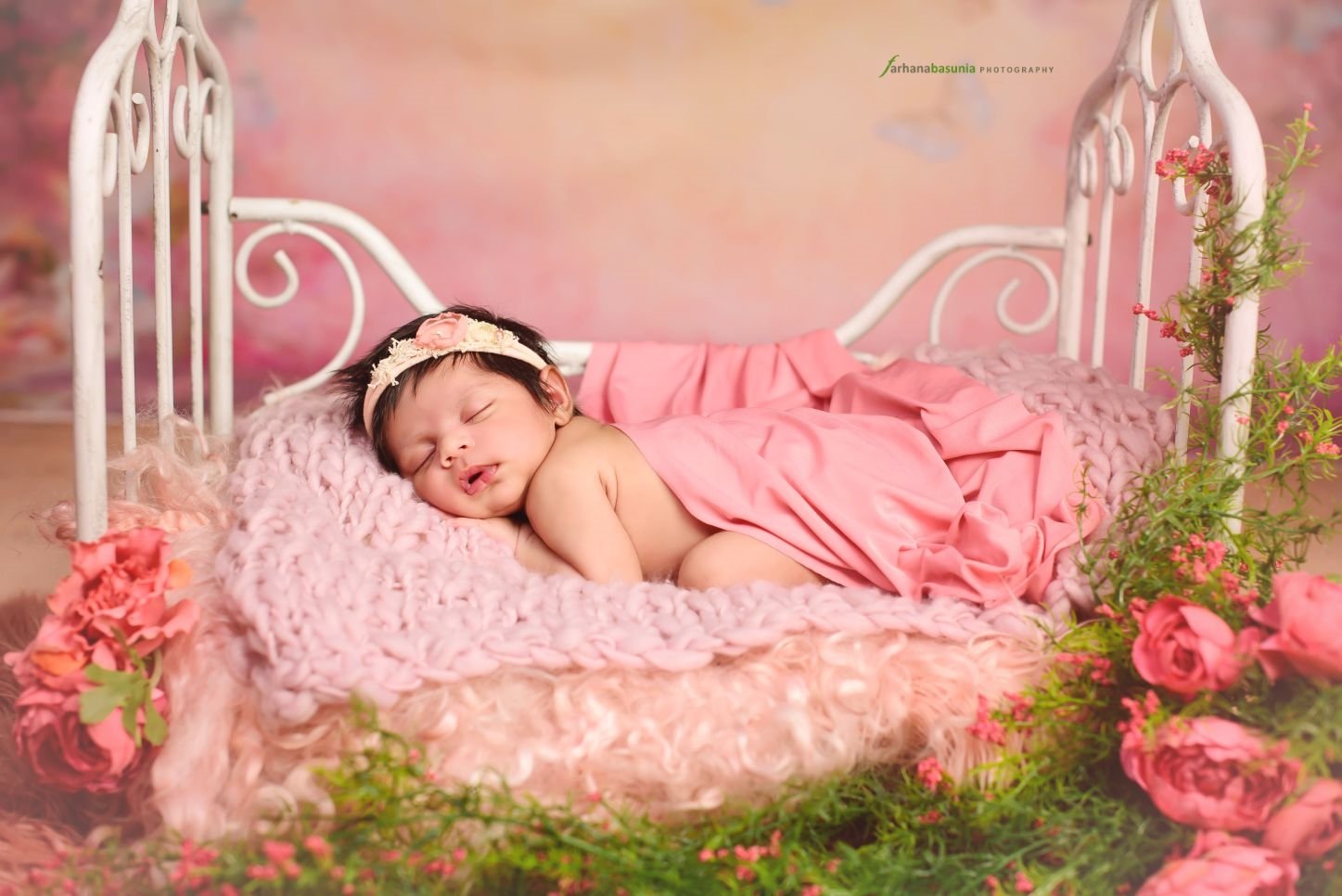 Newborn baby girl sleeping portrait Sydney